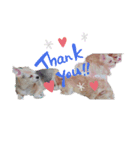 Rinoすた（個別スタンプ：5）