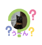 Rin momo coco2（個別スタンプ：8）