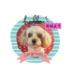 メロンちゃんラブリースタンプ（個別スタンプ：1）