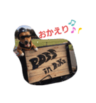 BOSSちゃんno.1（個別スタンプ：2）