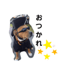 BOSSちゃんno.1（個別スタンプ：5）