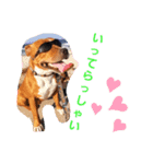 BOSSちゃんno.1（個別スタンプ：6）
