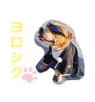 BOSSちゃんno.1（個別スタンプ：8）