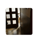 柴犬善さん3（個別スタンプ：7）