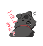 うちのさすけスタンプ（個別スタンプ：1）