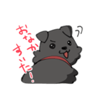 うちのさすけスタンプ（個別スタンプ：2）