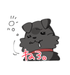 うちのさすけスタンプ（個別スタンプ：5）