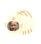 ぎんしろー（個別スタンプ：2）