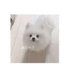 ココオトすたんぷ。（個別スタンプ：3）