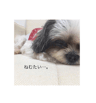 ココオトすたんぷ。（個別スタンプ：5）