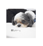 ココオトすたんぷ。（個別スタンプ：6）