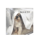 ココオトすたんぷ。（個別スタンプ：7）