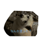 asnsha（個別スタンプ：8）
