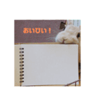 うさぎ モカの日常（個別スタンプ：5）