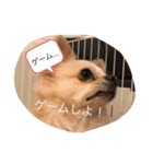 Rhye（個別スタンプ：2）