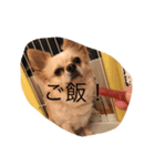 Rhye（個別スタンプ：3）