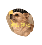 Rhye（個別スタンプ：7）
