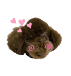 めるうに♡（個別スタンプ：5）
