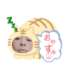 とみこさん（個別スタンプ：5）