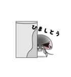(播州弁)オオグソクムシ（個別スタンプ：16）