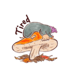 大人可愛いもぐら君の絵本スタンプ（英語）（個別スタンプ：28）