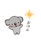 こあらちゃん(日常)（個別スタンプ：3）