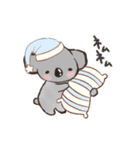 こあらちゃん(日常)（個別スタンプ：4）