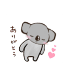 こあらちゃん(日常)（個別スタンプ：6）