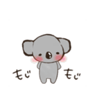 こあらちゃん(日常)（個別スタンプ：12）