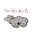 こあらちゃん(日常)（個別スタンプ：20）