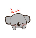 こあらちゃん(日常)（個別スタンプ：21）