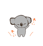 こあらちゃん(日常)（個別スタンプ：23）