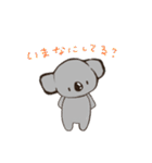 こあらちゃん(日常)（個別スタンプ：30）
