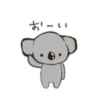 こあらちゃん(日常)（個別スタンプ：33）