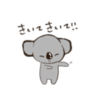 こあらちゃん(日常)（個別スタンプ：36）