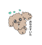かわいいかわいいイヌ（個別スタンプ：5）
