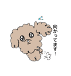 かわいいかわいいイヌ（個別スタンプ：7）
