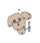 かわいいかわいいイヌ（個別スタンプ：13）