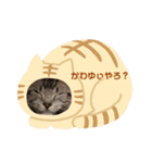ワシャネコ（個別スタンプ：7）