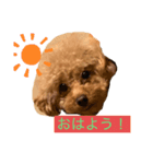 パルコスタンプ（個別スタンプ：5）