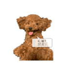 愛犬ななのスタンプ1（個別スタンプ：2）