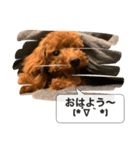 愛犬ななのスタンプ1（個別スタンプ：6）