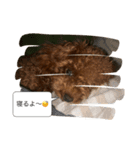 愛犬ななのスタンプ1（個別スタンプ：7）