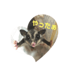 フクロモモンガのももくんとちびちゃん（個別スタンプ：8）