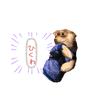 使える俺のスタンプ（個別スタンプ：3）