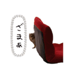 使える俺のスタンプ（個別スタンプ：4）