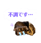 使える俺のスタンプ（個別スタンプ：5）