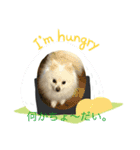 我が家の愛犬スタンプ1（個別スタンプ：7）