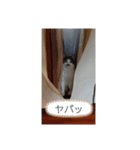 ラテくんの1日（個別スタンプ：3）