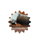 ラテくんの1日（個別スタンプ：8）